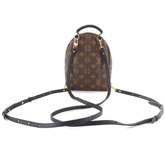 Louis Vuitton Monogram Palm Springs Backpack Mini Rucksack Brown - Picture 2 of 9